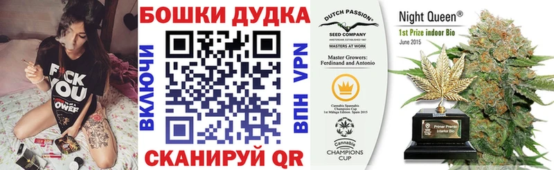 Где купить наркоту Санкт-Петербург Гашиш  Cocaine  Alpha-PVP  Канабис  Кетамин  Меф мяу мяу 