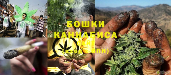 гидропоника Белокуриха