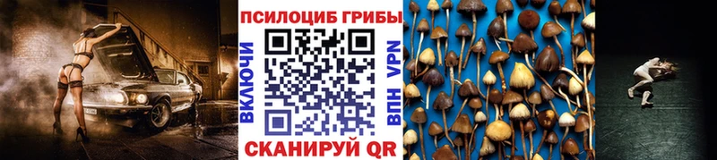 Псилоцибиновые грибы MAGIC MUSHROOMS  где купить наркоту  Санкт-Петербург 